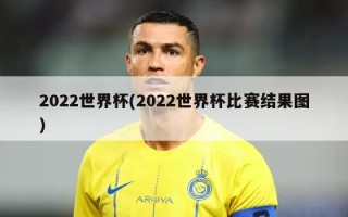 2022世界杯(2022世界杯比赛结果图)
