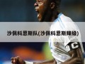 沙佩科恩斯队(沙佩科恩斯降级)