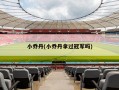 小乔丹(小乔丹拿过冠军吗)