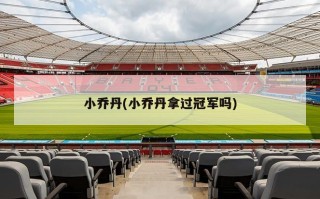 小乔丹(小乔丹拿过冠军吗)