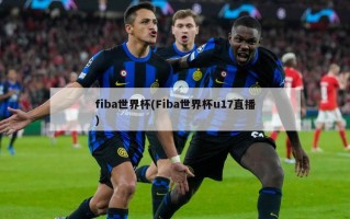 fiba世界杯(Fiba世界杯u17直播)