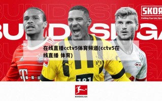 在线直播cctv5体育频道(cctv5在线直播 体育)