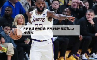 巴西足球甲级联赛(巴西足球甲级联赛2023积分榜)
