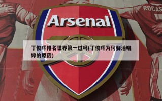 丁俊晖排名世界第一过吗(丁俊晖为何娶潘晓婷的原因)