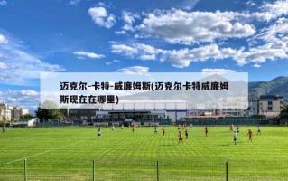迈克尔-卡特-威廉姆斯(迈克尔卡特威廉姆斯现在在哪里)