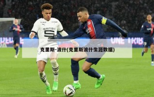 克里斯-波什(克里斯波什生涯数据)