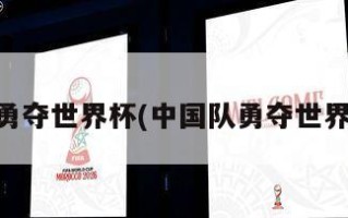 中国队勇夺世界杯(中国队勇夺世界杯台词)