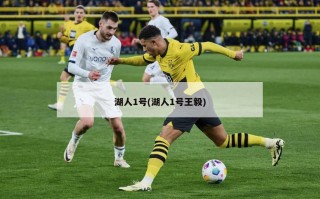湖人1号(湖人1号王毅)
