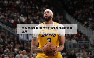 热火vs公牛直播(热火对公牛央视季后赛第三场)