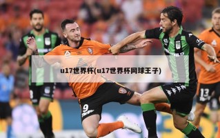 u17世界杯(u17世界杯网球王子)