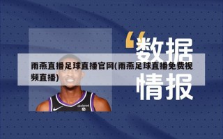 雨燕直播足球直播官网(雨燕足球直播免费视频直播)