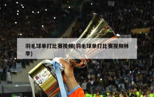 羽毛球单打比赛视频(羽毛球单打比赛视频林李)