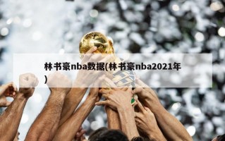 林书豪nba数据(林书豪nba2021年)
