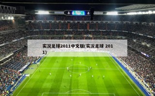 实况足球2011中文版(实况足球 2011)