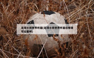 足球小将世界杯篇(足球小将世界杯篇在哪里可以看啊)
