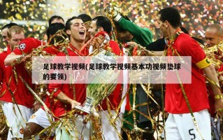 足球教学***(足球教学***基本功***垫球的要领)
