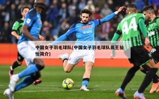 中国女子羽毛球队(中国女子羽毛球队员王祉怡简介)