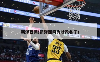 新泽西网(新泽西网为啥改名了)