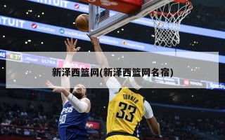 新泽西篮网(新泽西篮网名宿)
