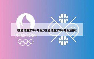 谷爱凌世界杯夺冠(谷爱凌世界杯夺冠图片)