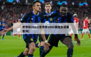 世界杯2002(世界杯2002赛程及结果查询)