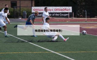 梅德维登科(梅德维奇)