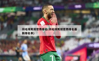 羽毛球男双世界排名(羽毛球男双世界排名最新排名表)