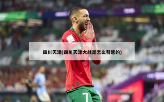 四川天津(四川天津大战是怎么引起的)