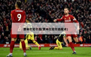 贾米尔尼尔森(贾米尔尼尔森魔术)