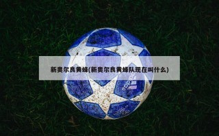 新奥尔良黄蜂(新奥尔良黄蜂队现在叫什么)