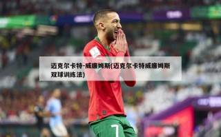 迈克尔卡特-威廉姆斯(迈克尔卡特威廉姆斯双球训练法)