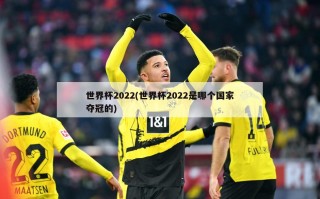 世界杯2022(世界杯2022是哪个国家夺冠的)