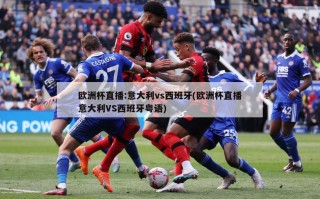 欧洲杯直播:意大利vs西班牙(欧洲杯直播意大利VS西班牙粤语)