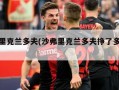 沙弗里克兰多夫(沙弗里克兰多夫挣了多少钱)