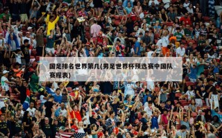 国足排名世界第几(男足世界杯预选赛中国队赛程表)