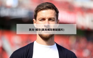 凯文-威尔(凯文威尔断腿图片)