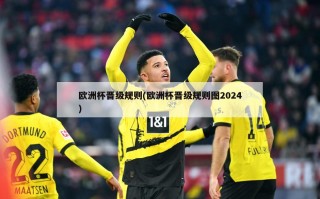 欧洲杯晋级规则(欧洲杯晋级规则图2024)