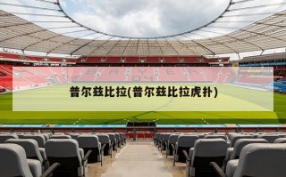 普尔兹比拉(普尔兹比拉虎扑)