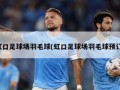 虹口足球场羽毛球(虹口足球场羽毛球预订)