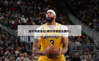 威尔特张伯伦(威尔特张伯伦图片)