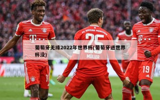 葡萄牙无缘2022年世界杯(葡萄牙进世界杯没)