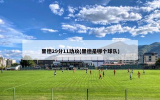 里德29分11助攻(里德是哪个球队)