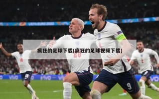 疯狂的足球下载(疯狂的足球视频下载)
