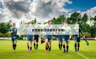 巴尼亚尼(巴尼亚尼十佳球)