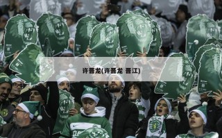许晋龙(许晋龙 晋江)