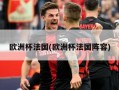 欧洲杯法国(欧洲杯法国阵容)